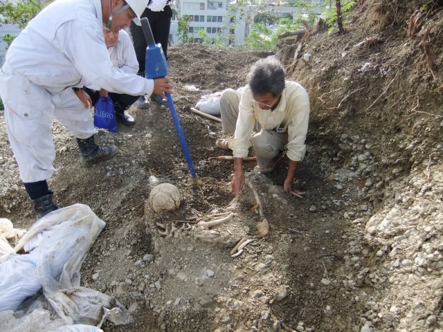 【写真2】那覇市における遺骨収集（2009年）